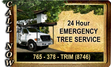 Muncie Tree Service 24 Hour Emergency Tree Service Muncie Indiana and Surrounding Areas